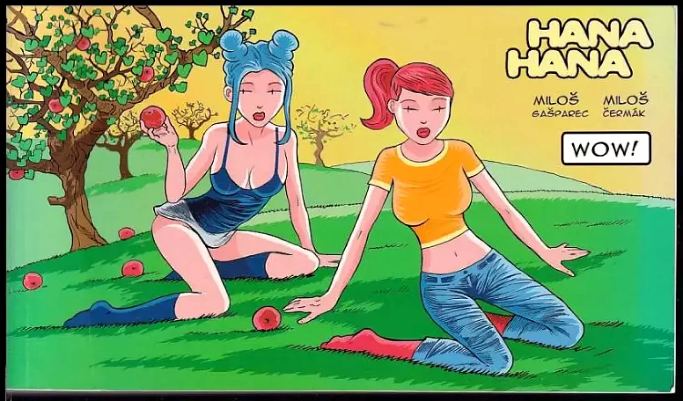 Levně Hana & Hana (Miloš Gašparec, 2008)