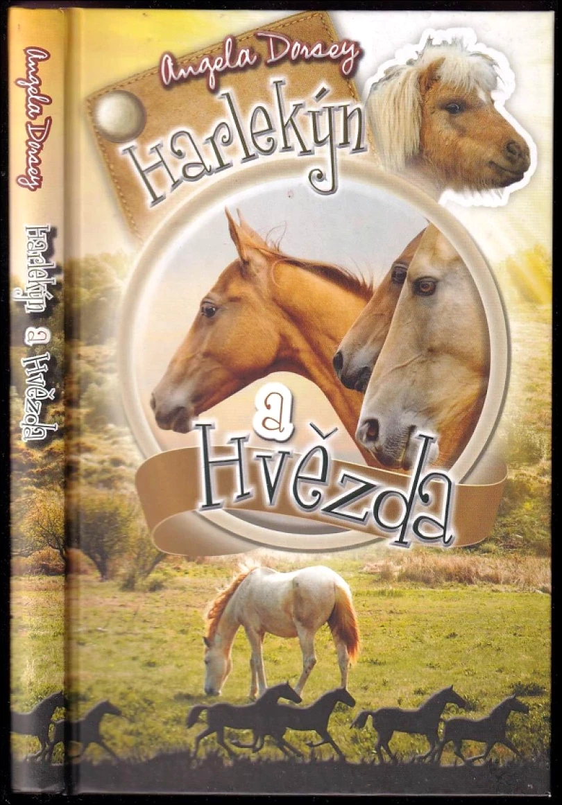 Levně Harlekýn a Hvězda (Angela Dorsey, 2014)