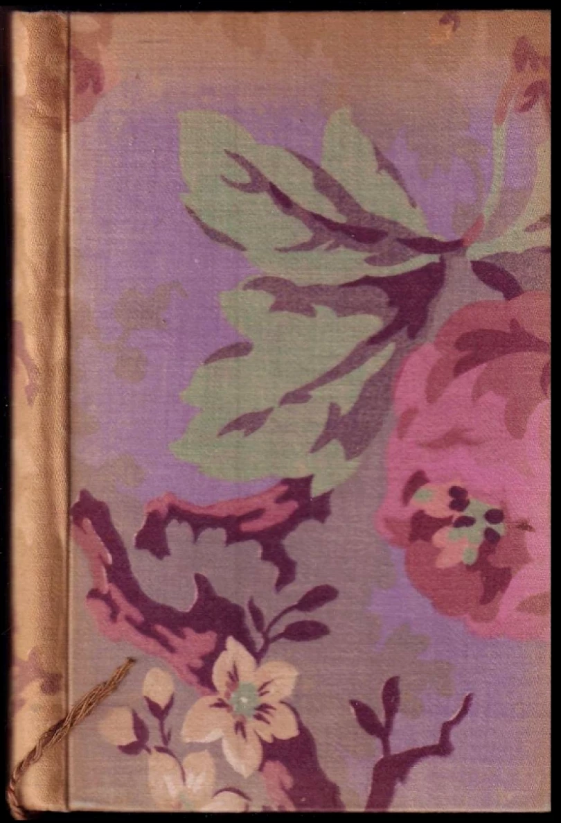 Hedvika a Ludvík (Karel Poláček, 1931)