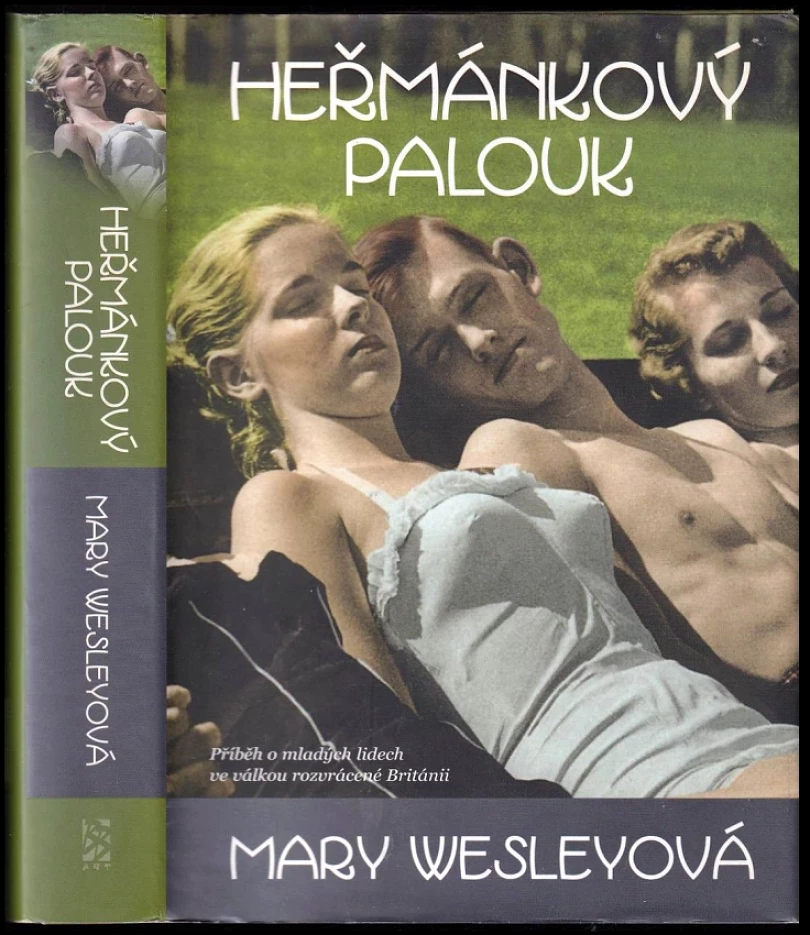 Levně Heřmánkový palouk (Mary Wesley, 2011)