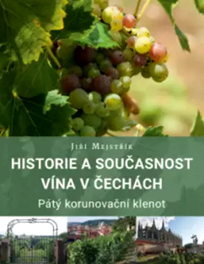 Historie a současnost vína v Čechách (Jiří Mejstřík, 2019)