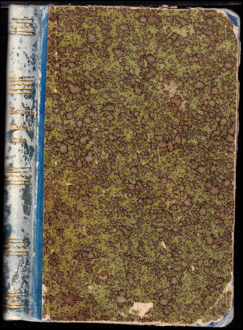 Historie literatury české (Karel Tieftrunk, 1880)