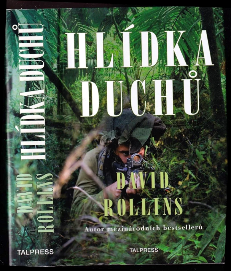 Levně Hlídka duchů (David Rollins, 2017)