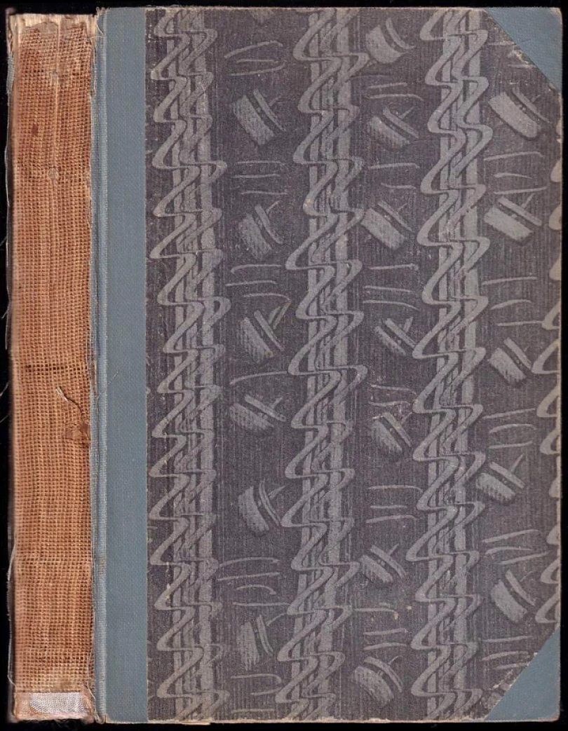 Hnědá síť (, 1935)