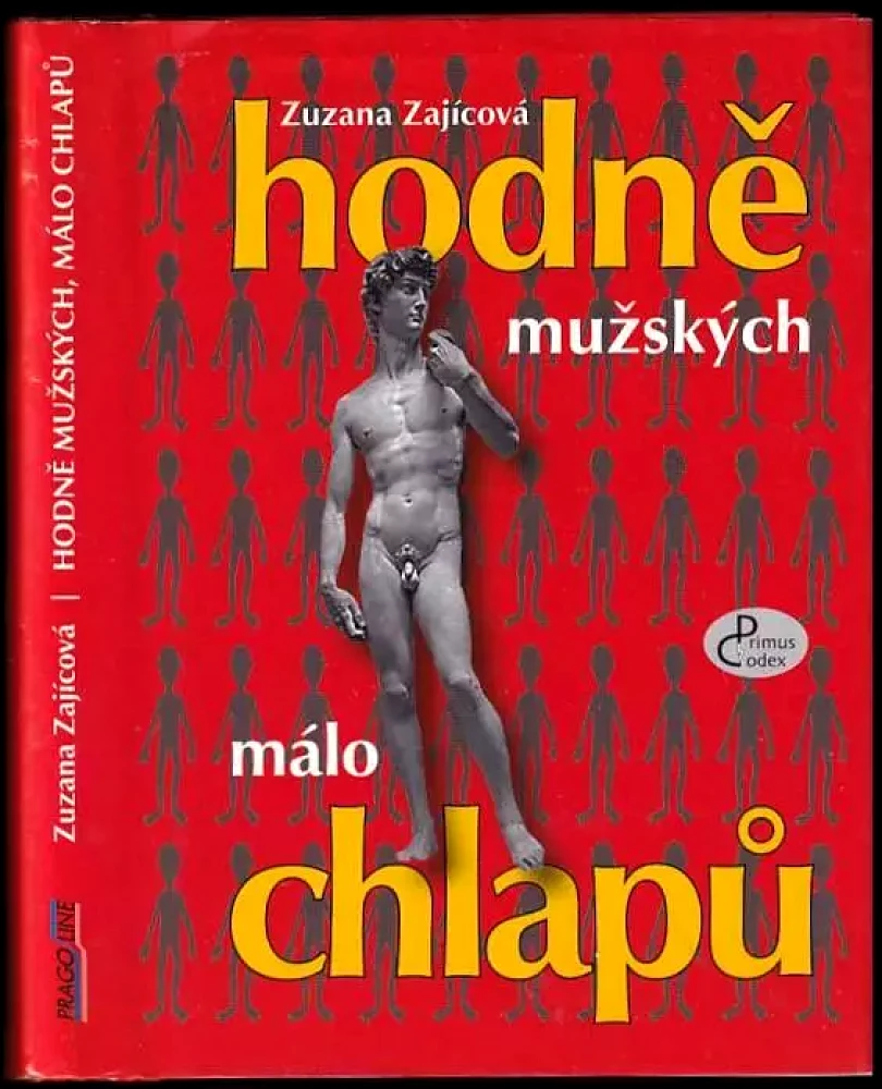 Hodně mužských, málo chlapů (Zuzana Zajícová, 2006)
