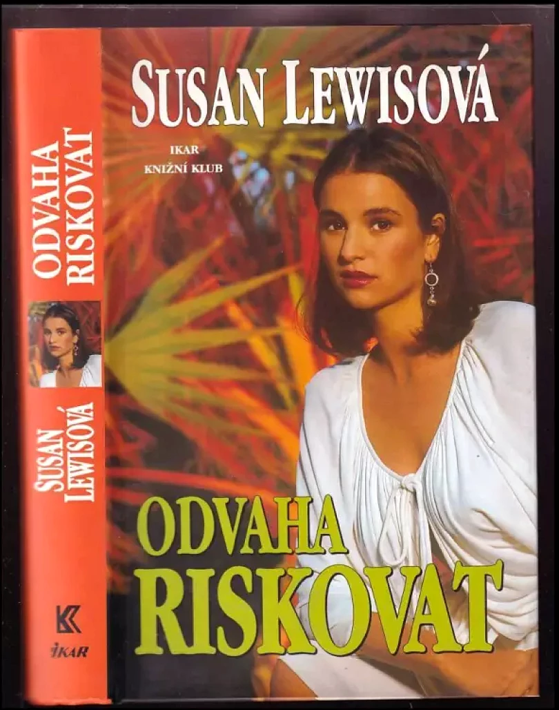 Levně Honba za sny (Susan Lewis, 2000)