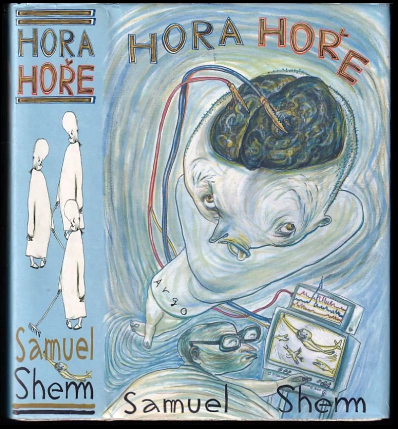 Hora hoře (Samuel Shem, 2002)