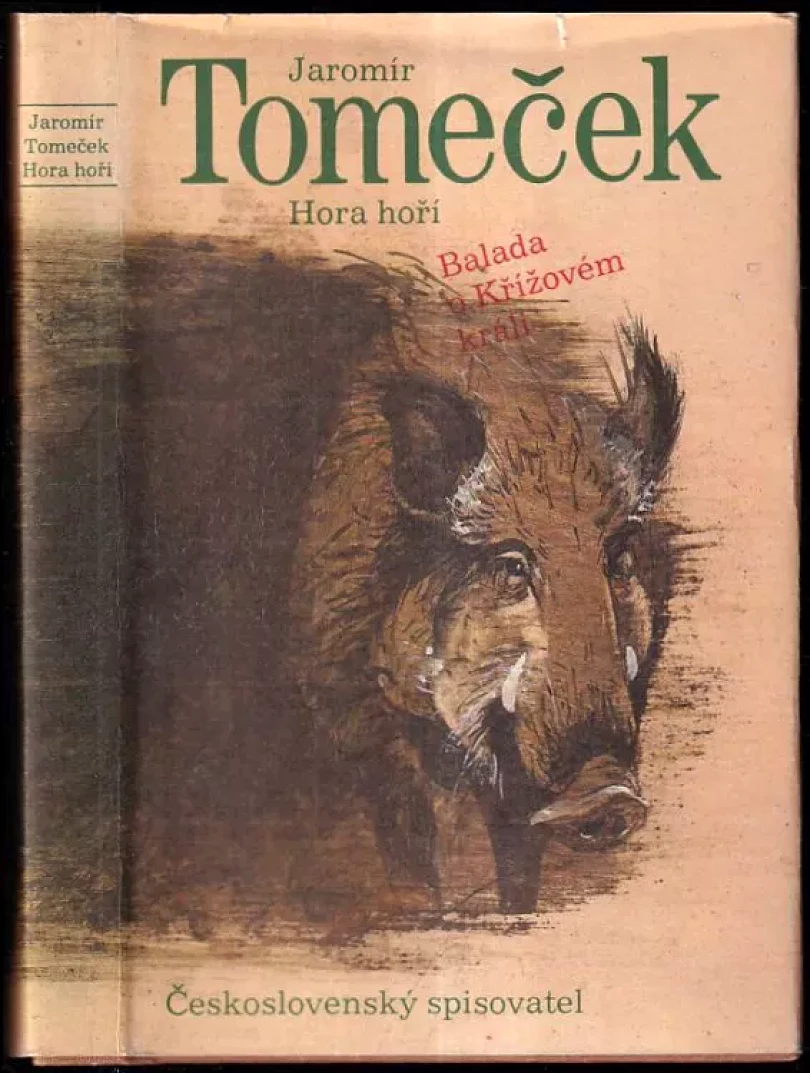 Hora hoří (Jaromír Tomeček, 1984)