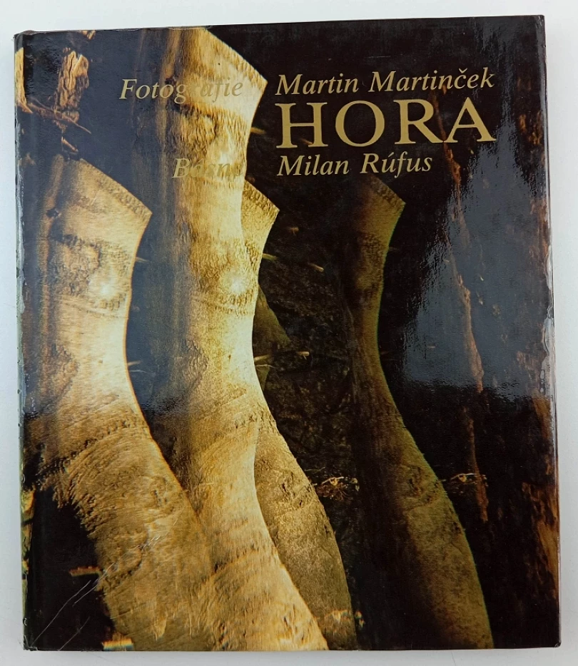 Hora (Milan Rúfus, 1978)