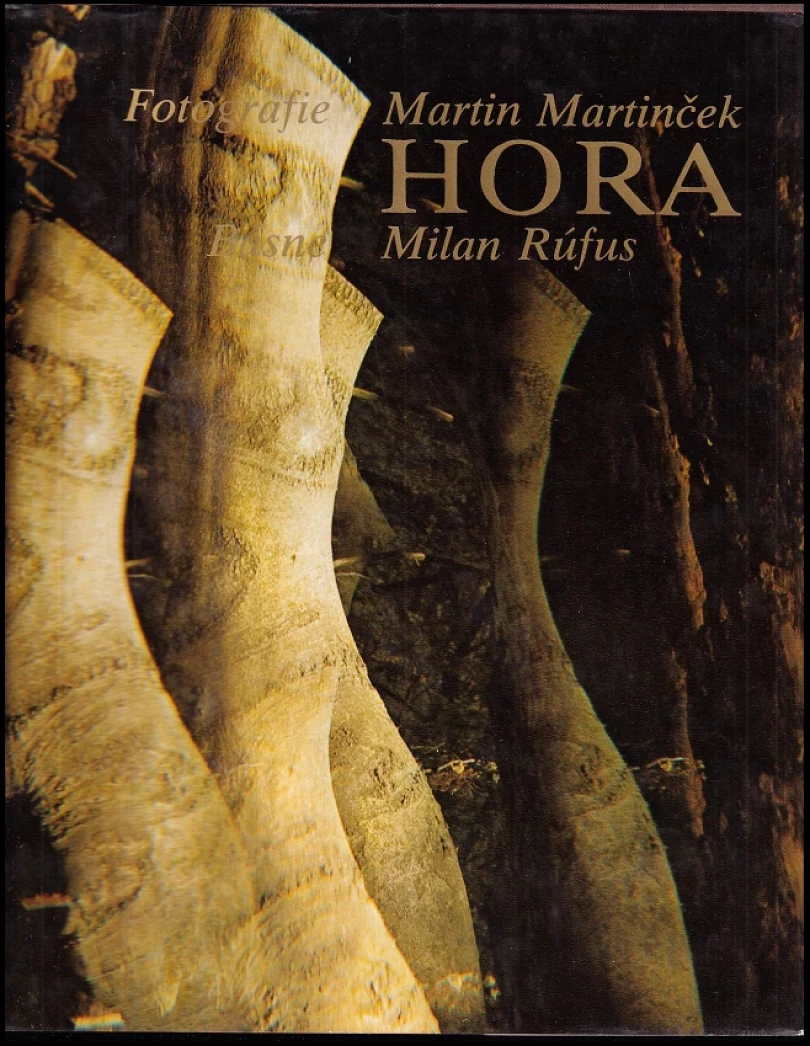Hora (Milan Rúfus, 1978)