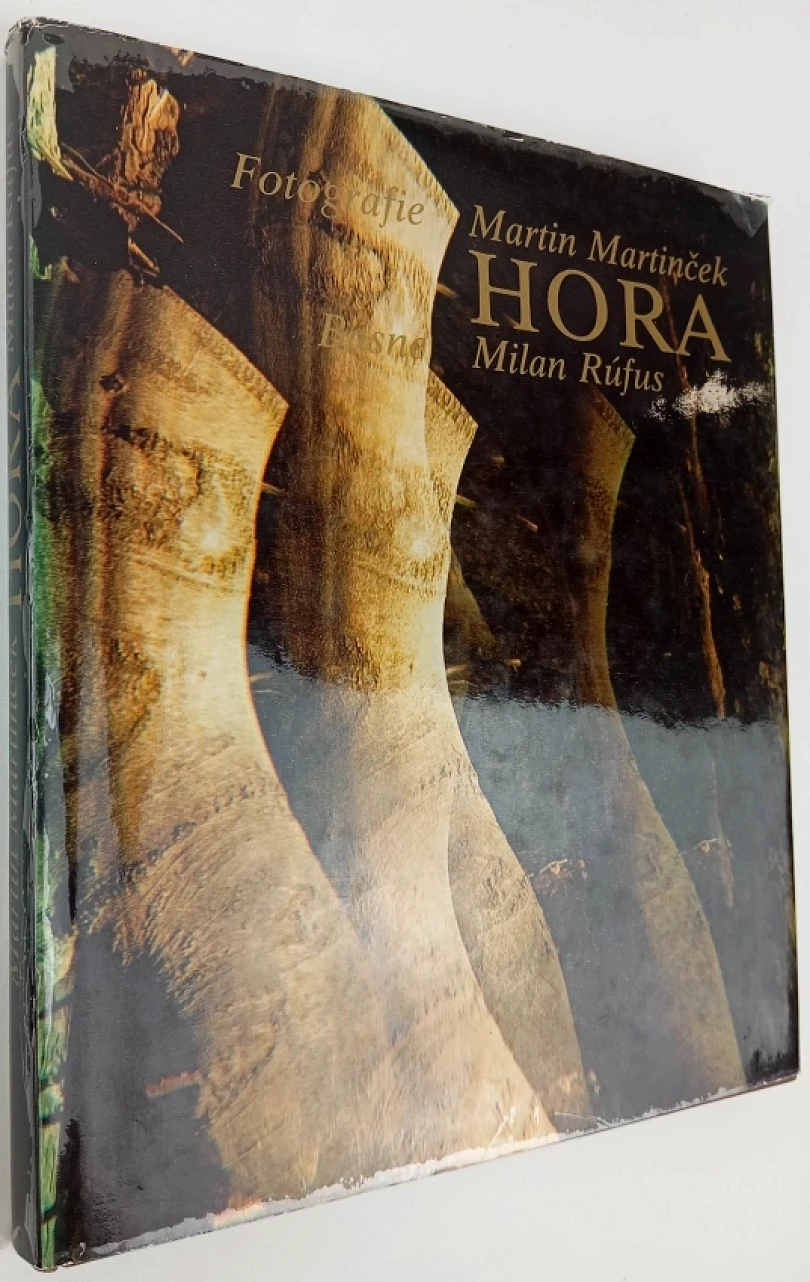 Hora (Milan Rúfus, 1978)