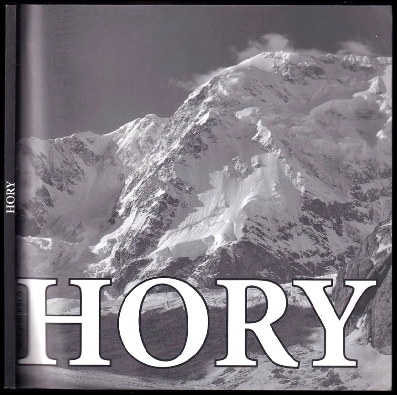 Hory (Michal Kleslo, 2010)