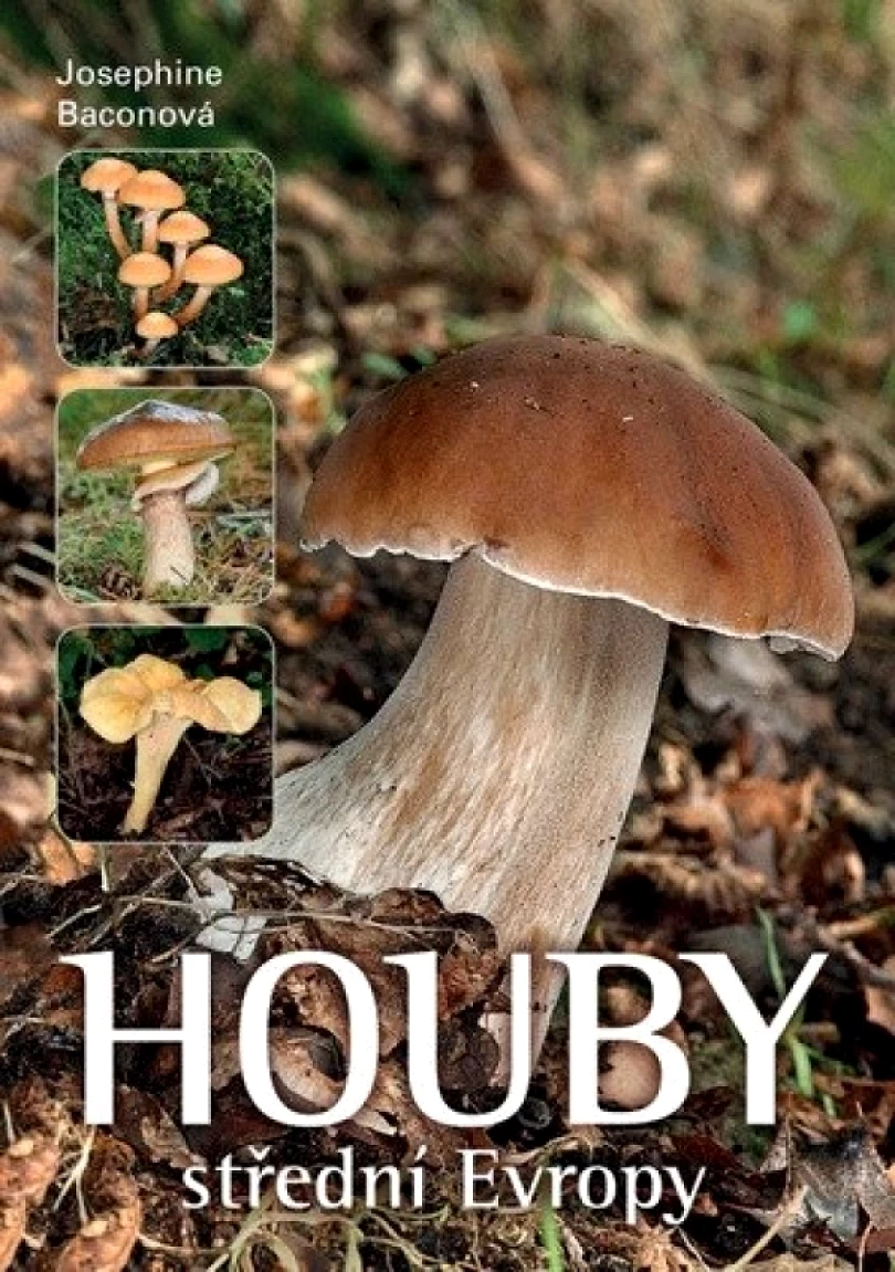 Levně Houby střední Evropy (Josephine Bacon, 2019)