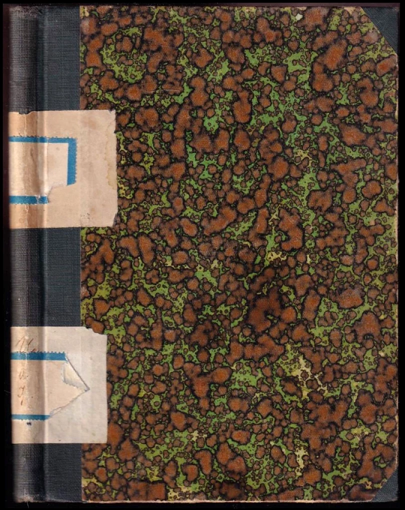 Hračkářský krám přírody (, 1925)