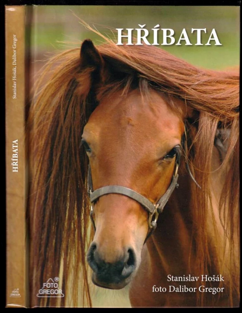 Levně Hříbata (Stanislav Hošák, 2008)