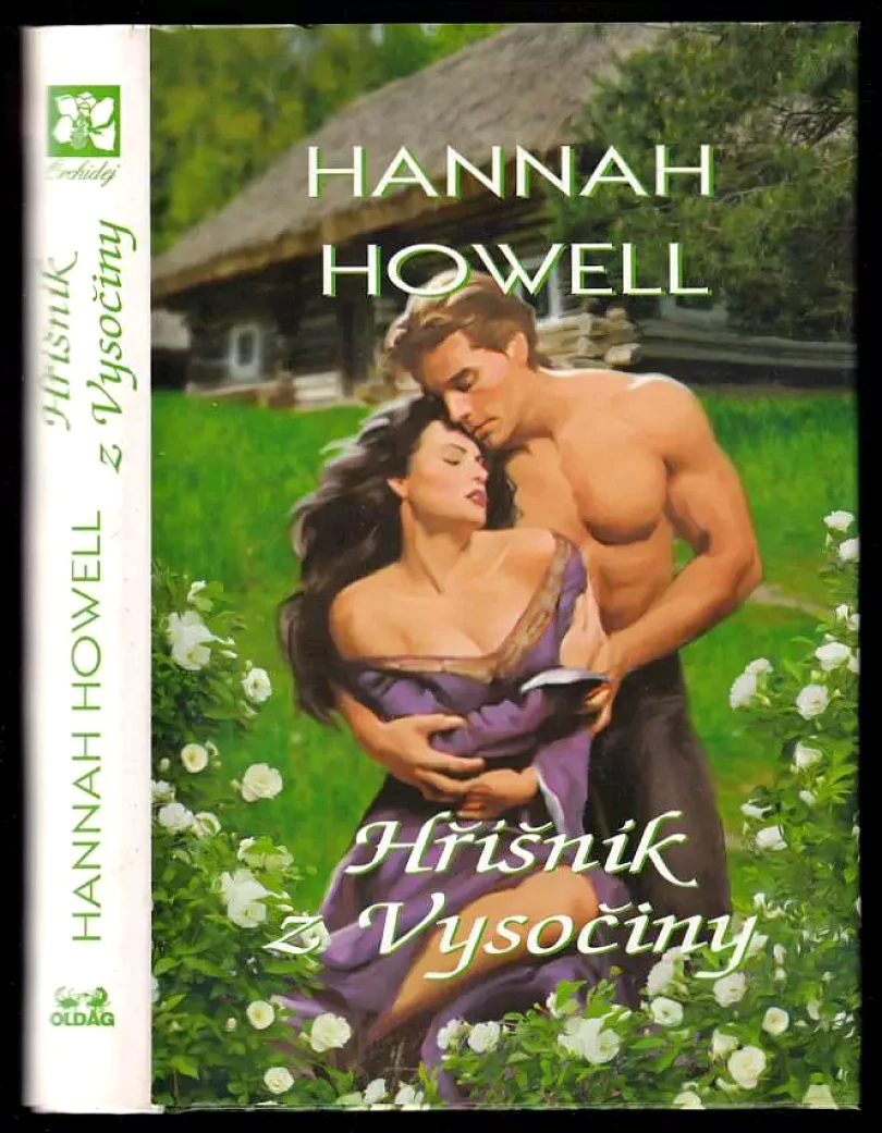 Levně Hříšník z Vysočiny (Hannah Howell, 2013)