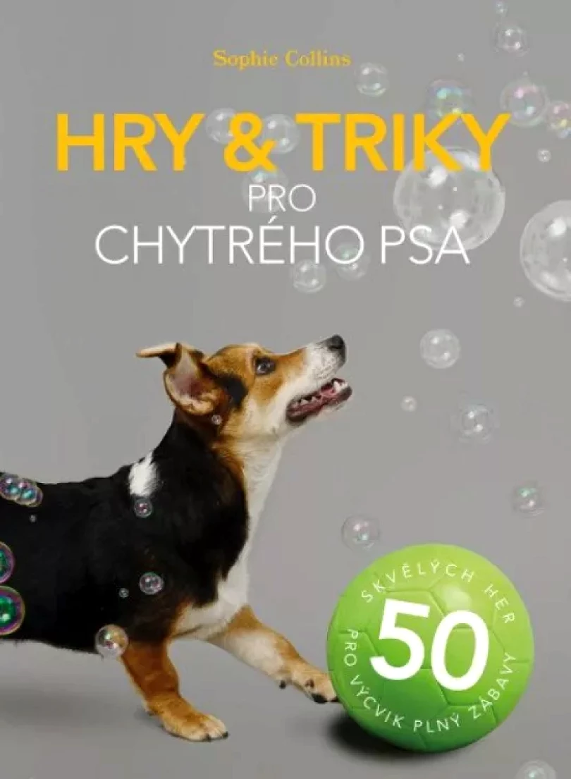 Hry & triky pro chytrého psa (Sophie Collins, 2021)