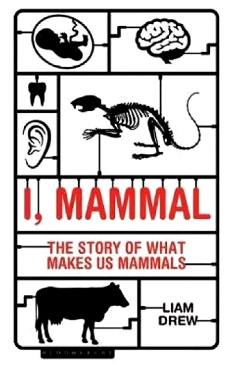 Levně I, Mammal : The Story of What Makes Us Mammals (Liam Drew, 2017)