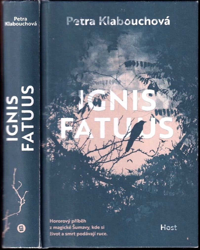 Ignis fatuus (Petra Klabouchová, 2024)