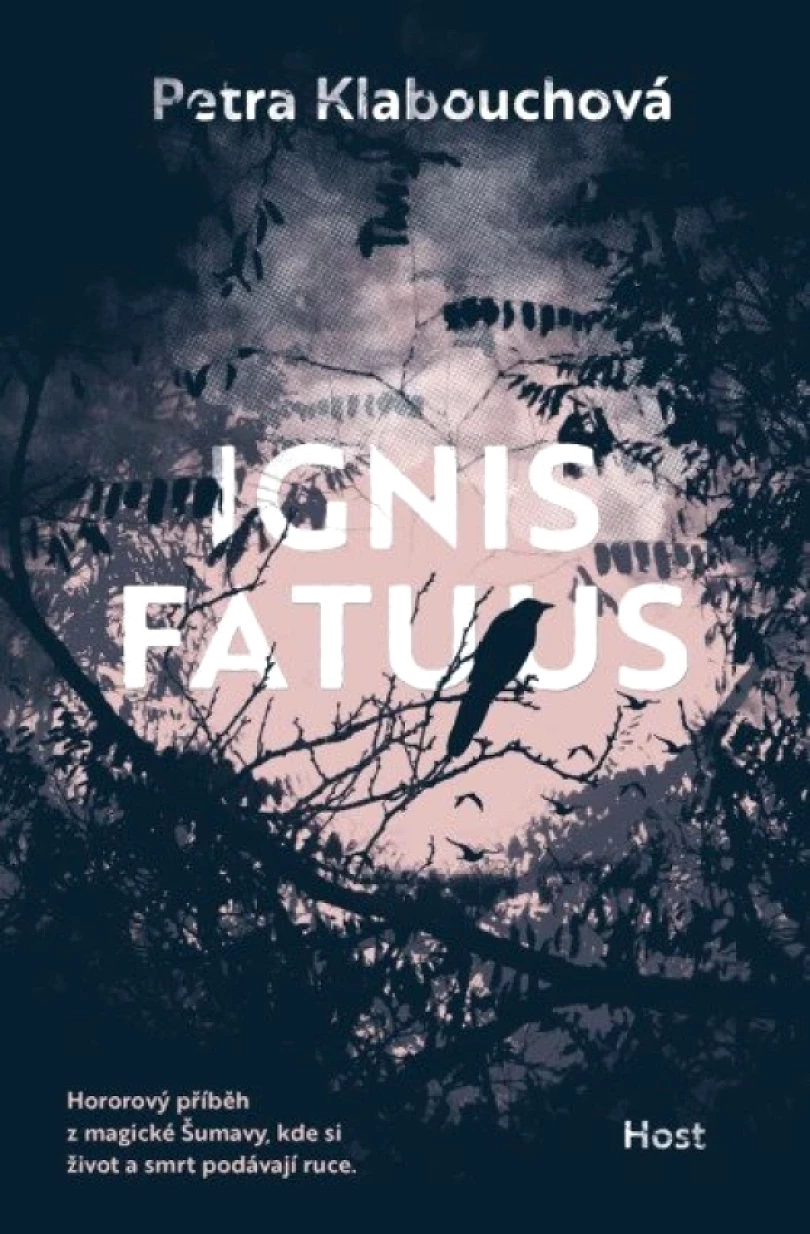 Ignis fatuus (Petra Klabouchová, 2025)