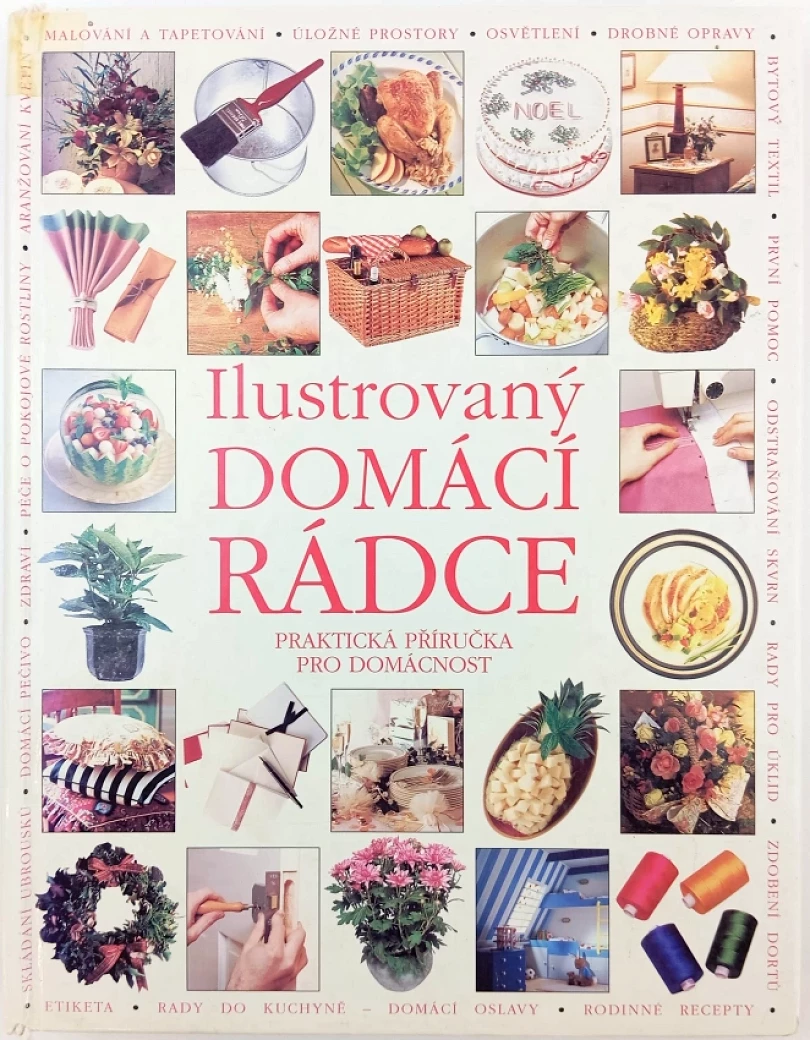 Ilustrovaný domácí rádce (Mike Lawrence, 1998)