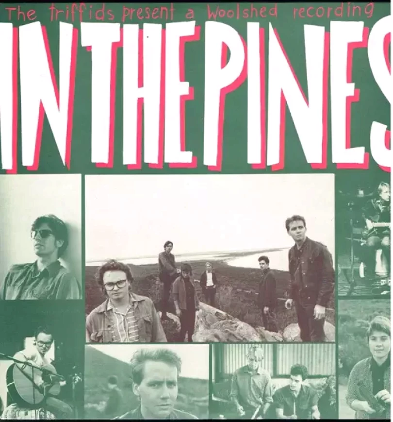 Levně In The Pines (The Triffids, 1986)