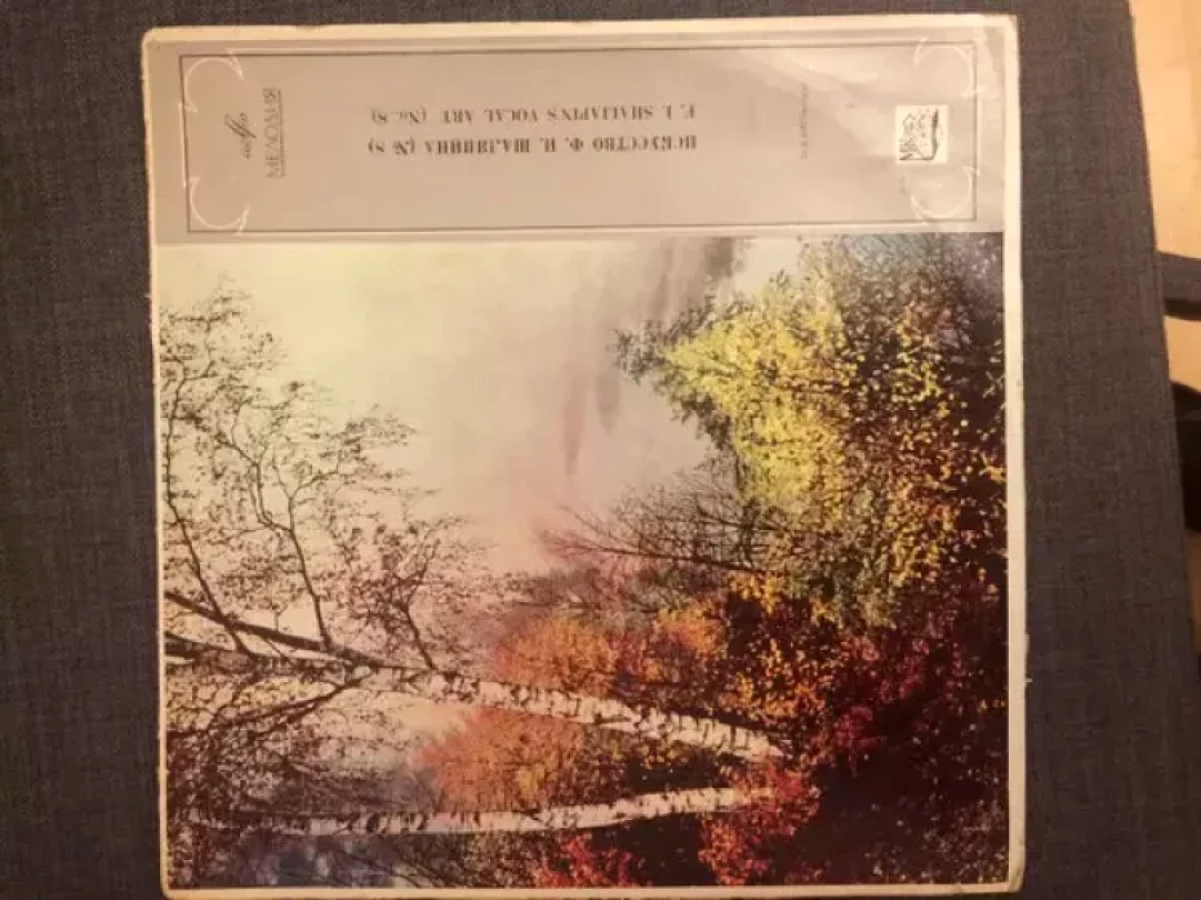 Levně Искусство Ф.И.Шаляпина (№8) F.I. Shailapin's Vocal Art (№. 8) (Feodor Chaliapin, )