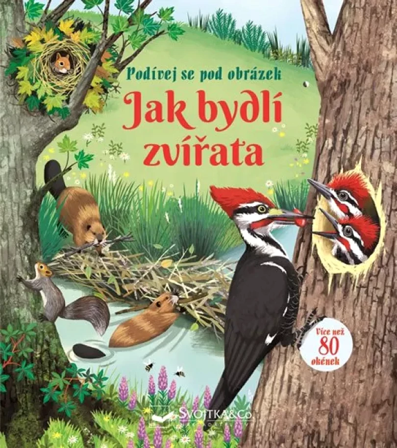 Levně Jak bydlí zvířata (Emily Bone, 2019)