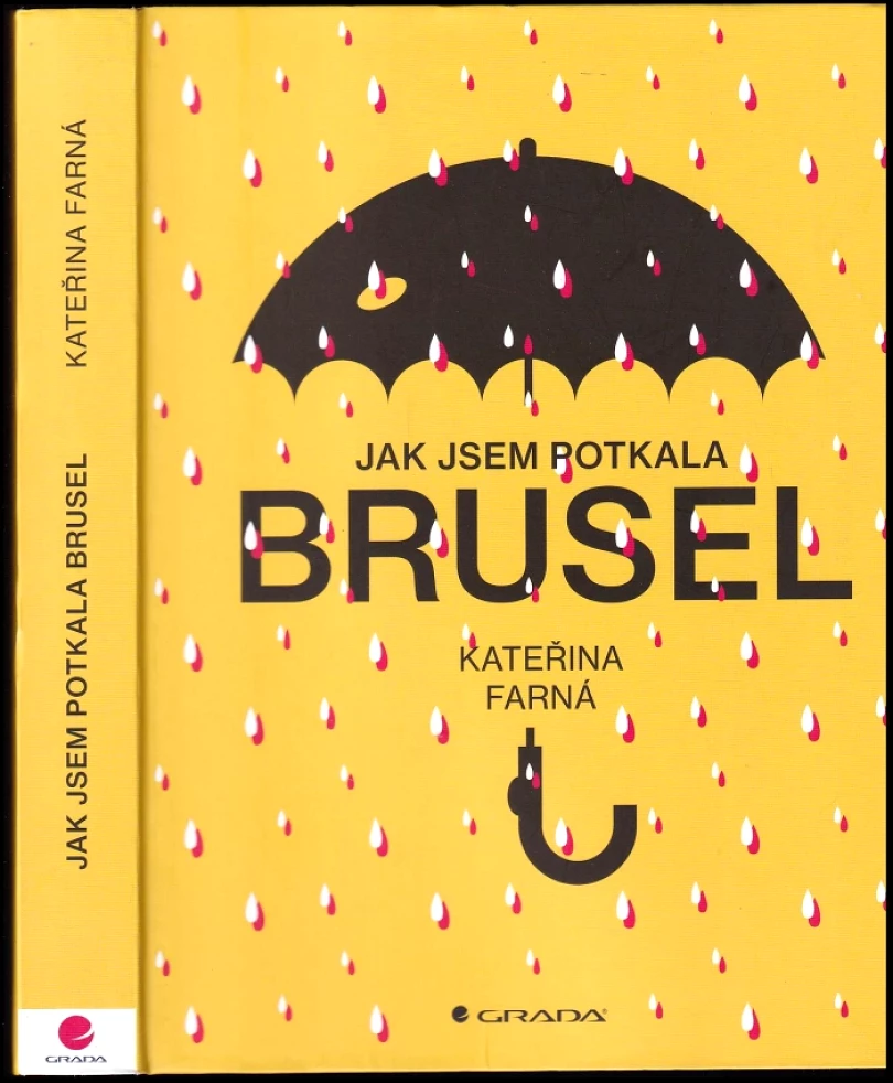 Jak jsem potkala Brusel (Kateřina Farná, 2019)