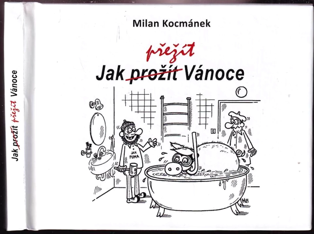 Jak prožít Vánoce (Milan Kocmánek, 2019)