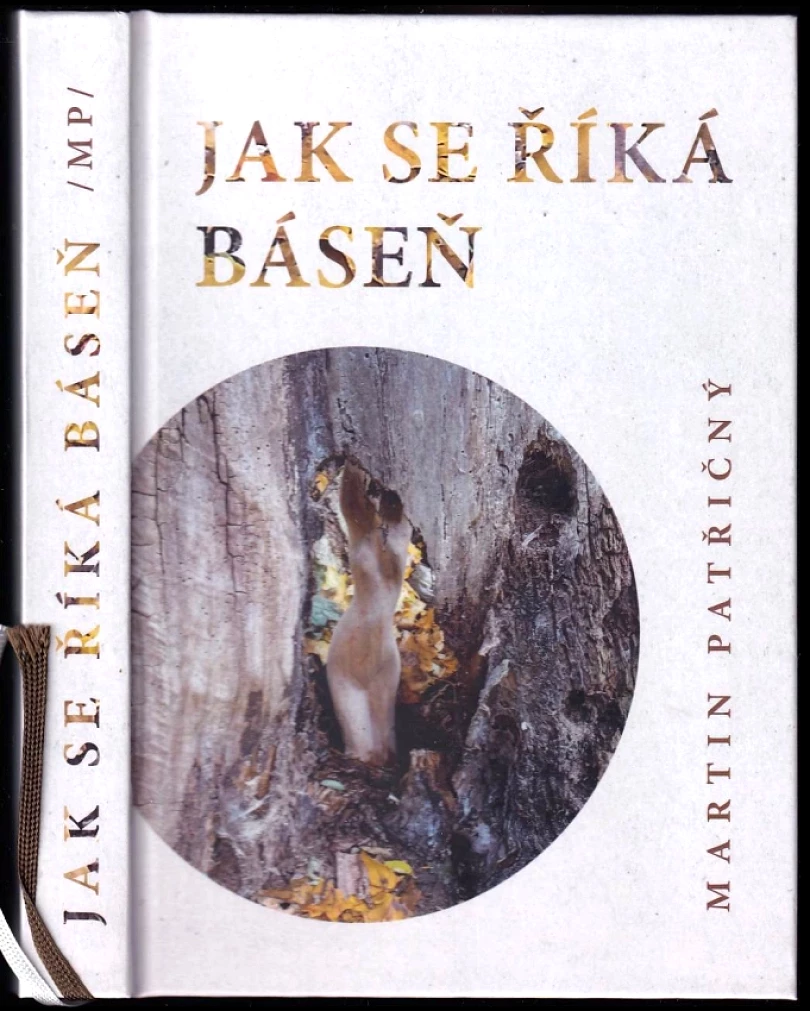 Jak se říká báseň (Martin Patřičný, 2025)