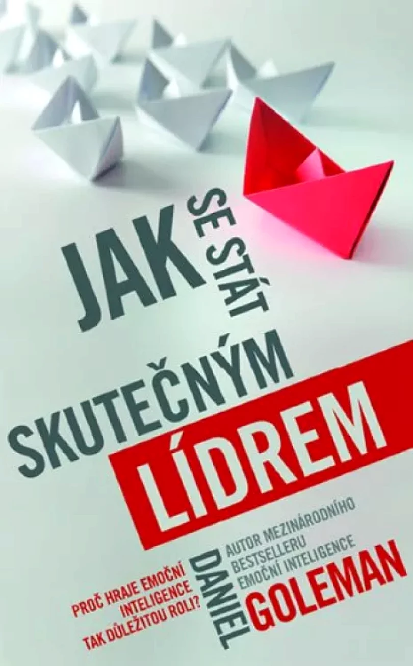 Jak se stát skutečným lídrem (Daniel Goleman, 2015)