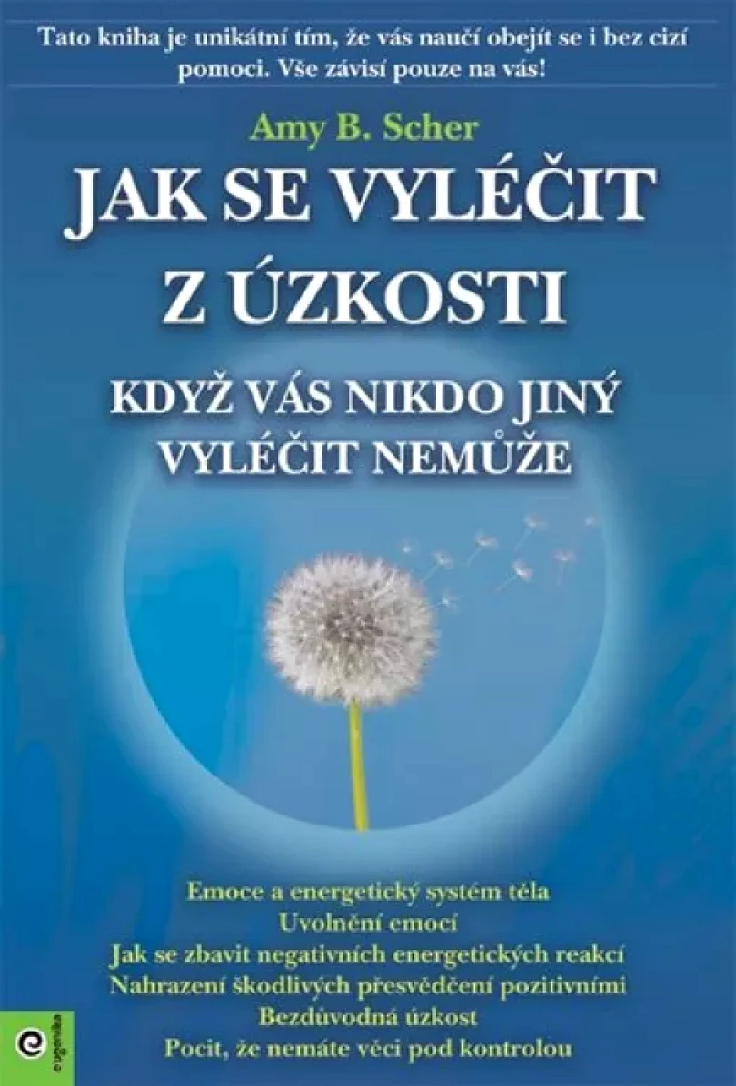 Levně Jak se vyléčit z úzkosti, když vás nikdo jiný vyléčit nemůže (Amy Scher,, 2020)