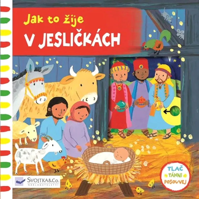 Jak to žije (Emily Bolam, 2018)