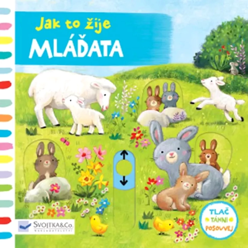 Jak to žije (Ag Jatkowska, 2018)