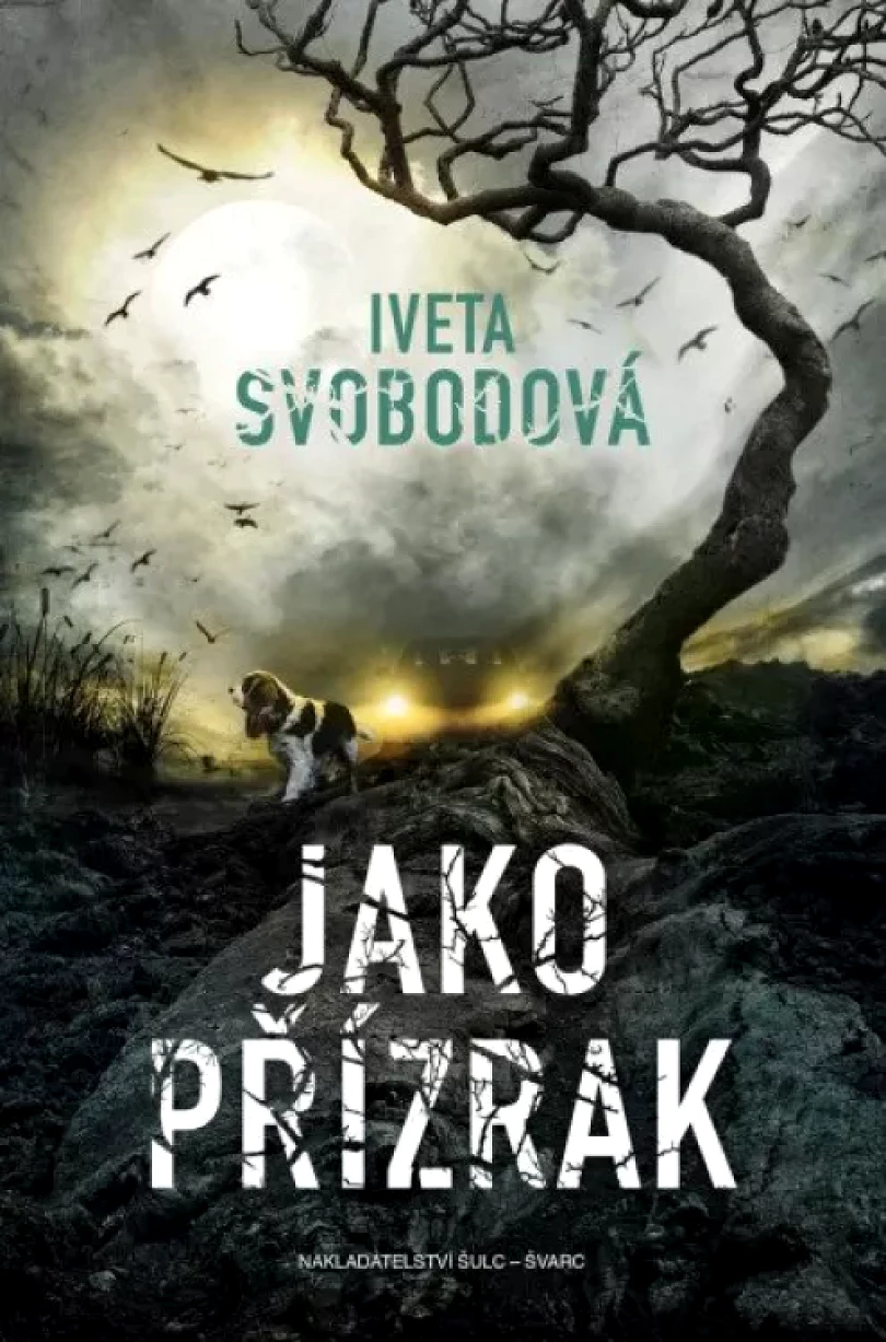 Jako přízrak (Iveta Svobodová, 2022)