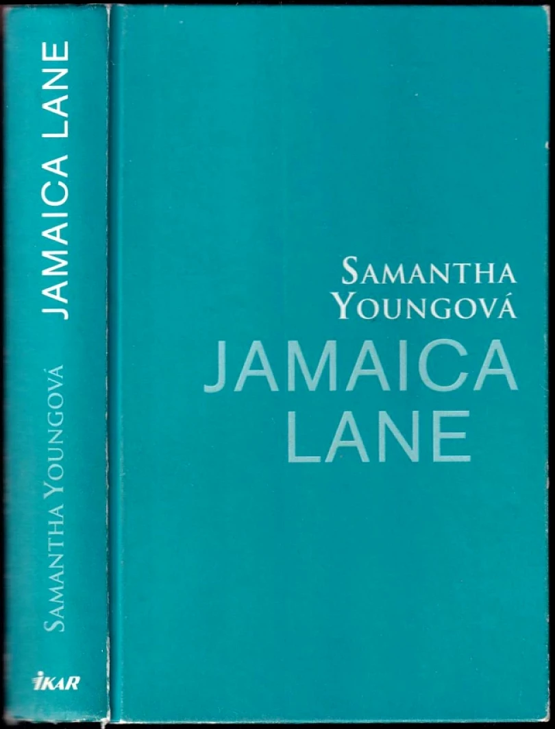 Levně Jamaica Lane (Samantha Young, 2015)