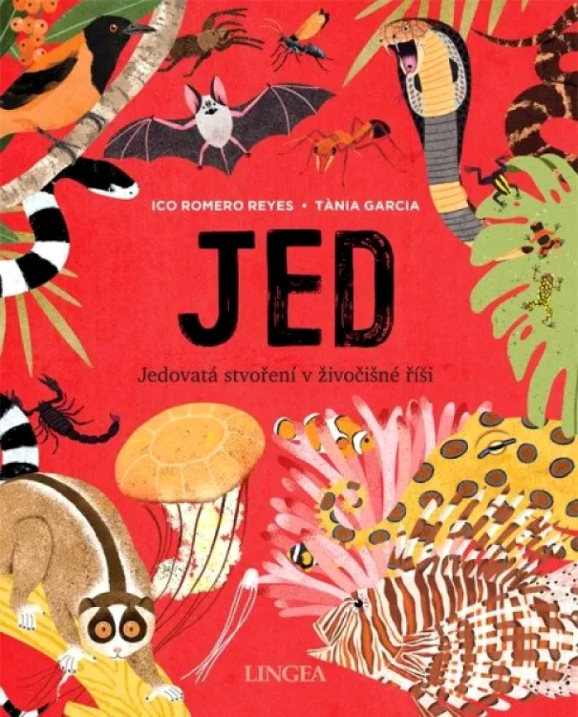 Jed (Ico Reyes, 2023)