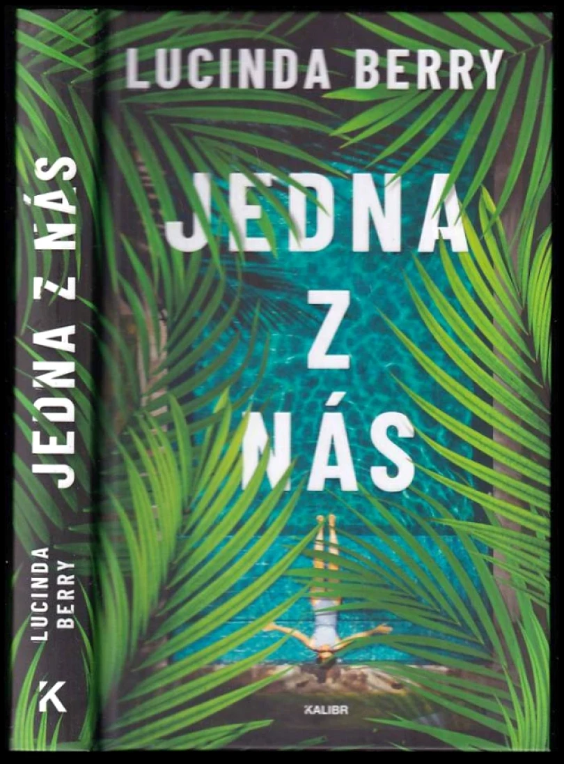 Levně Jedna z nás (Lucinda Berry, 2025)