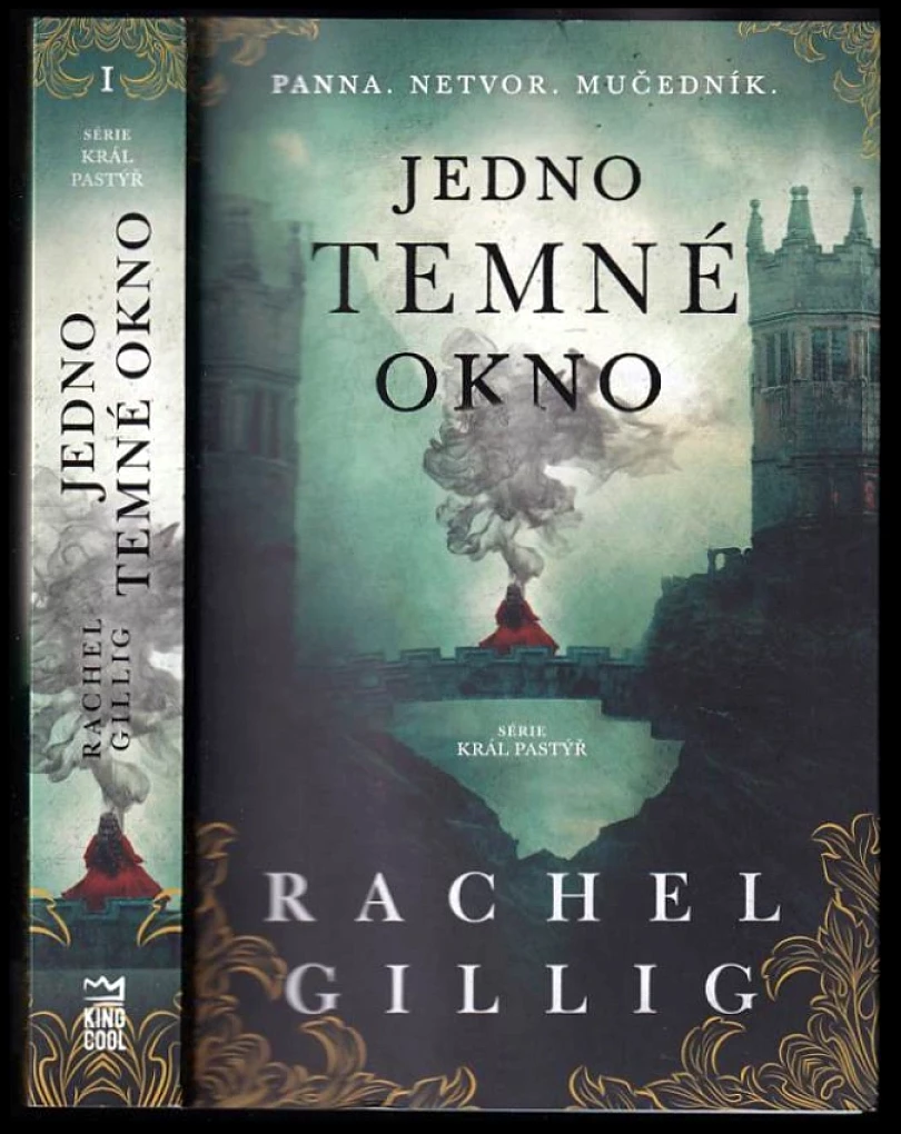 Levně Jedno temné okno (Rachel Gillig, 2024)