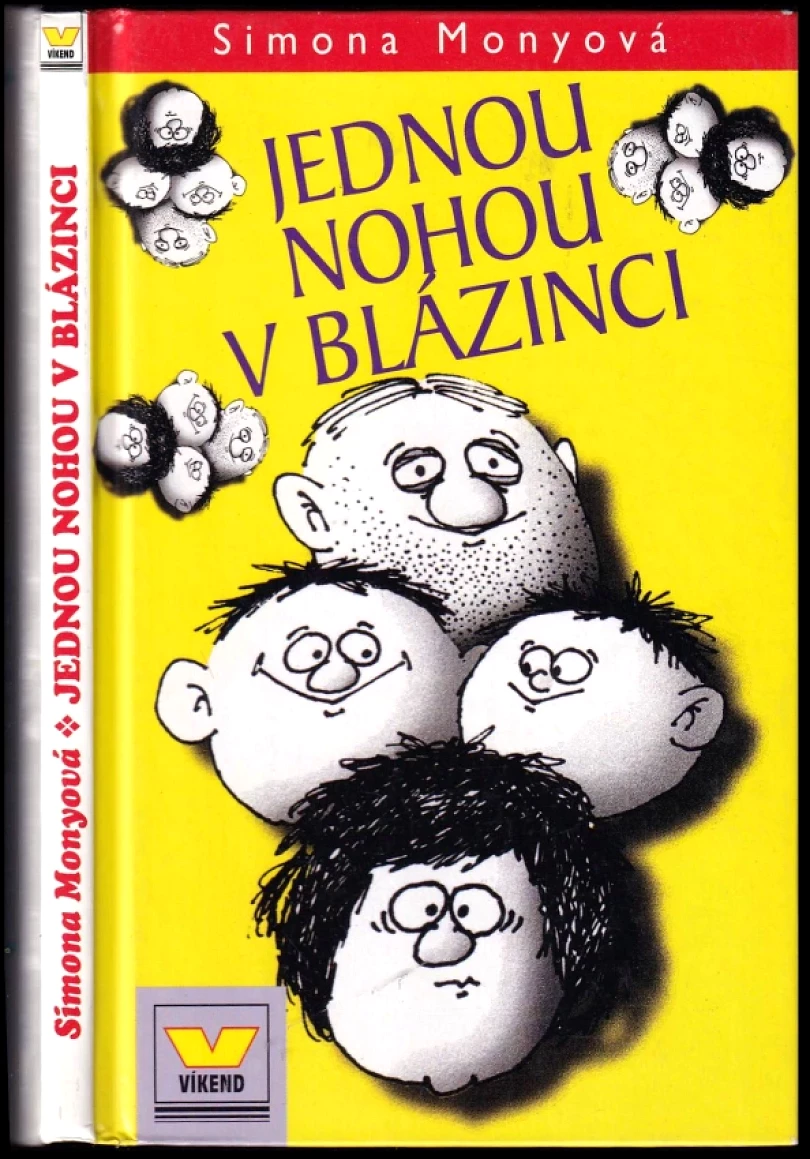 Jednou nohou v blázinci (Simona Monyová, 2000)