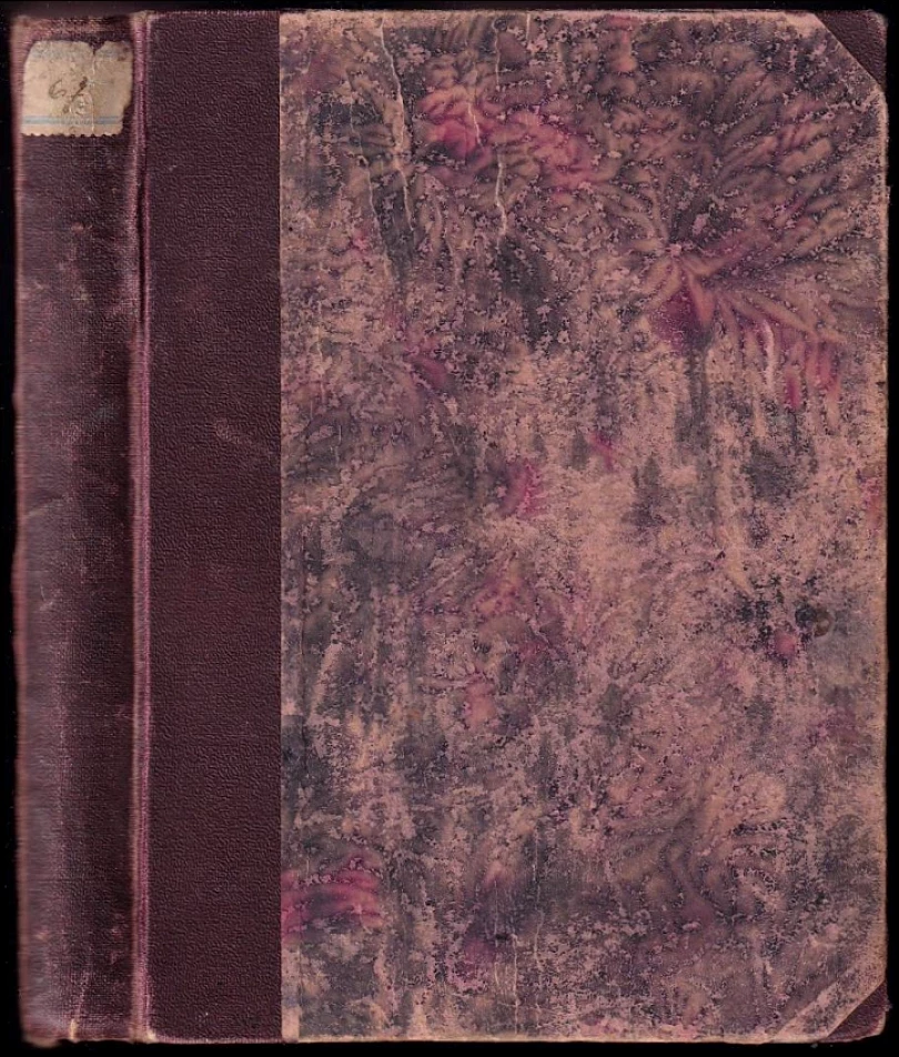 Levně Jeho štěstí (Marie Kyzlinková, 1930)