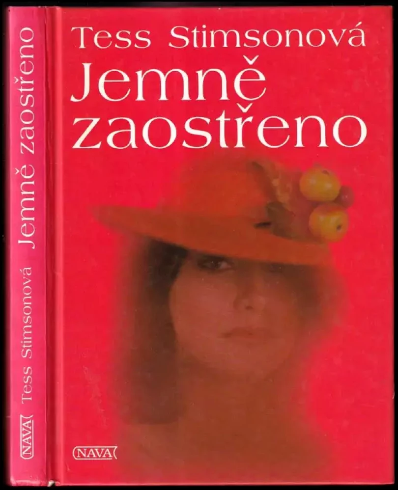 Levně Jemně zaostřeno (Tess Stimson, 1996)