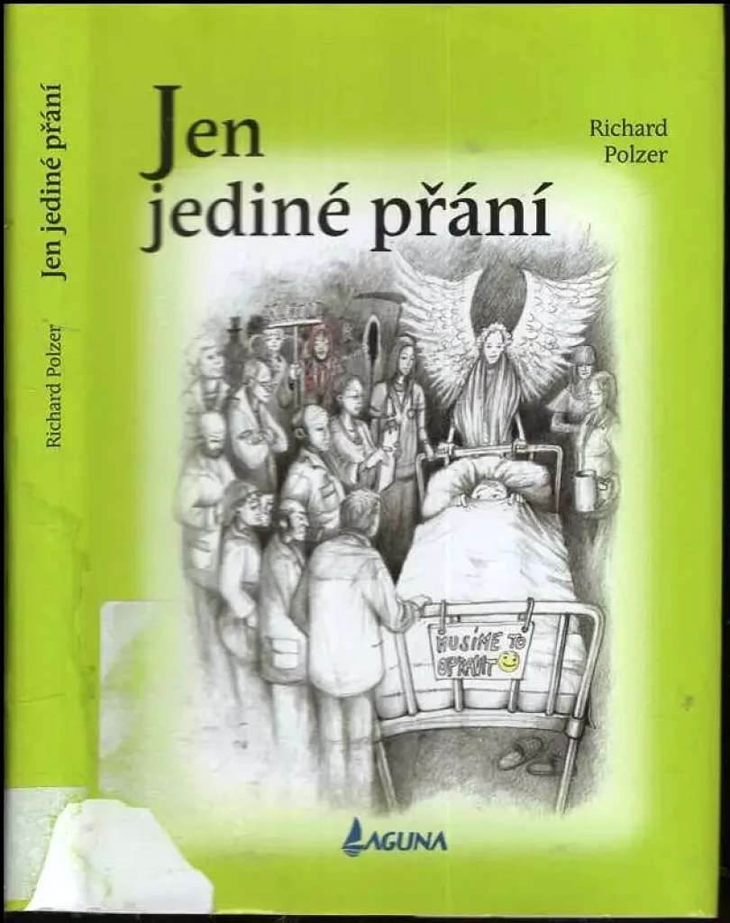 Levně Jen jediné přání (Richard Polzer, 2017)