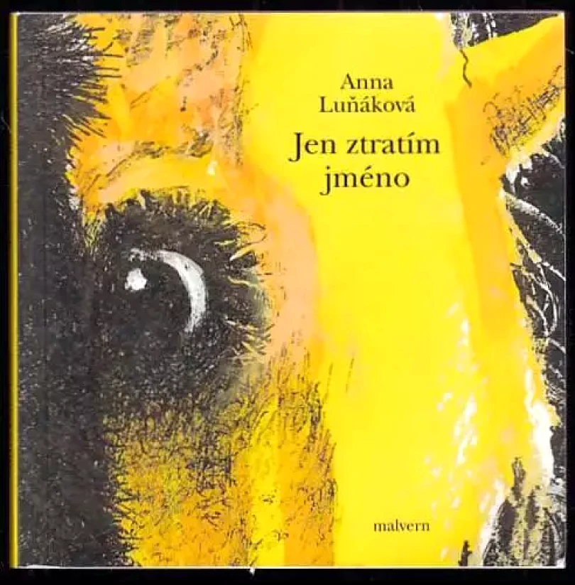 Jen ztratím jméno (Anna Luňáková, 2020)