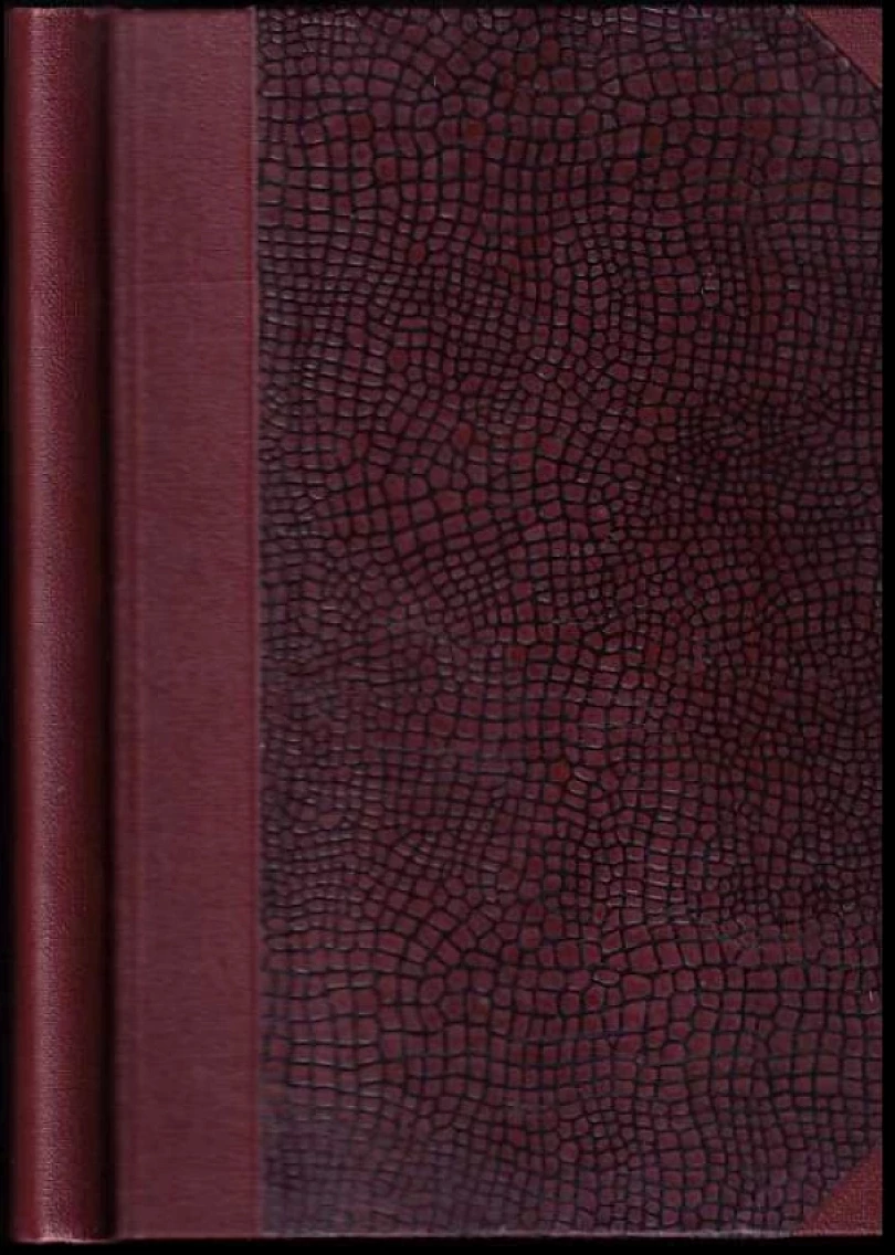 Levně Jeptiška (Břeněk Rys, 1911)
