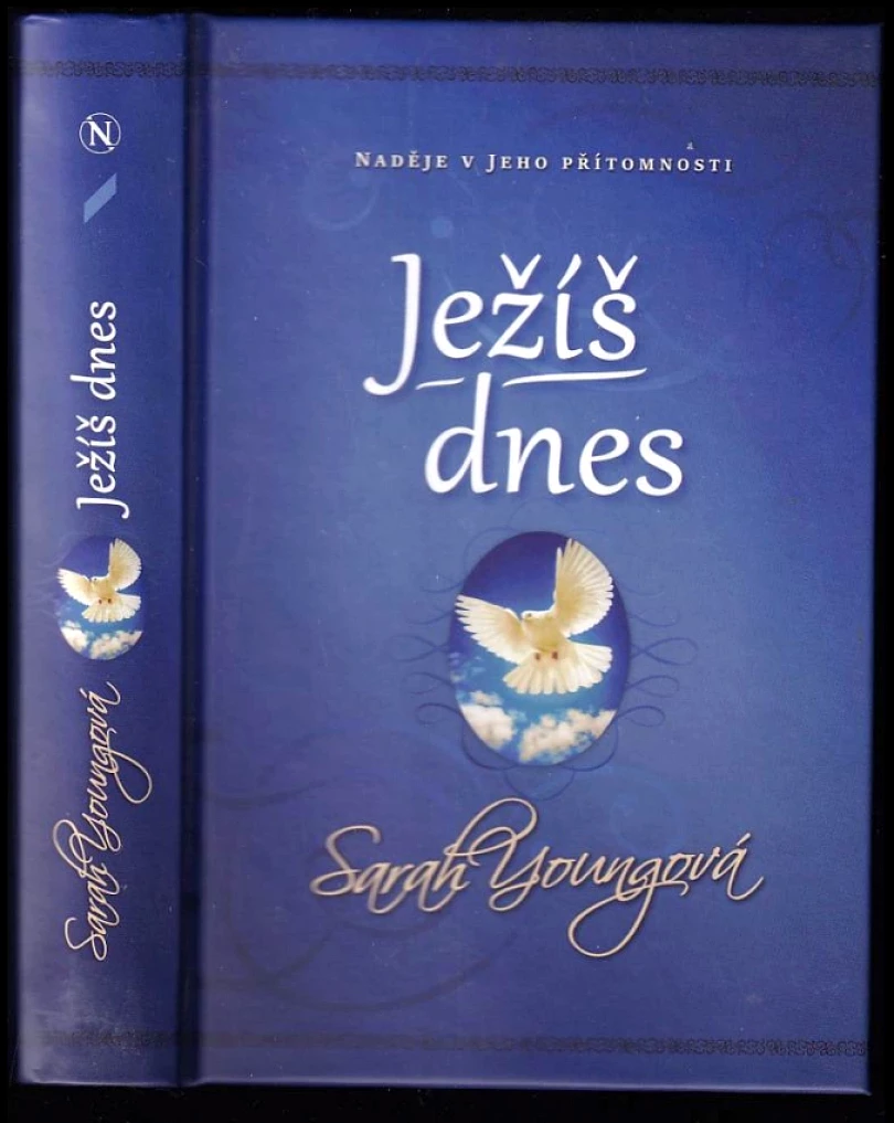 Levně Ježíš dnes (Sarah Young, 2021)
