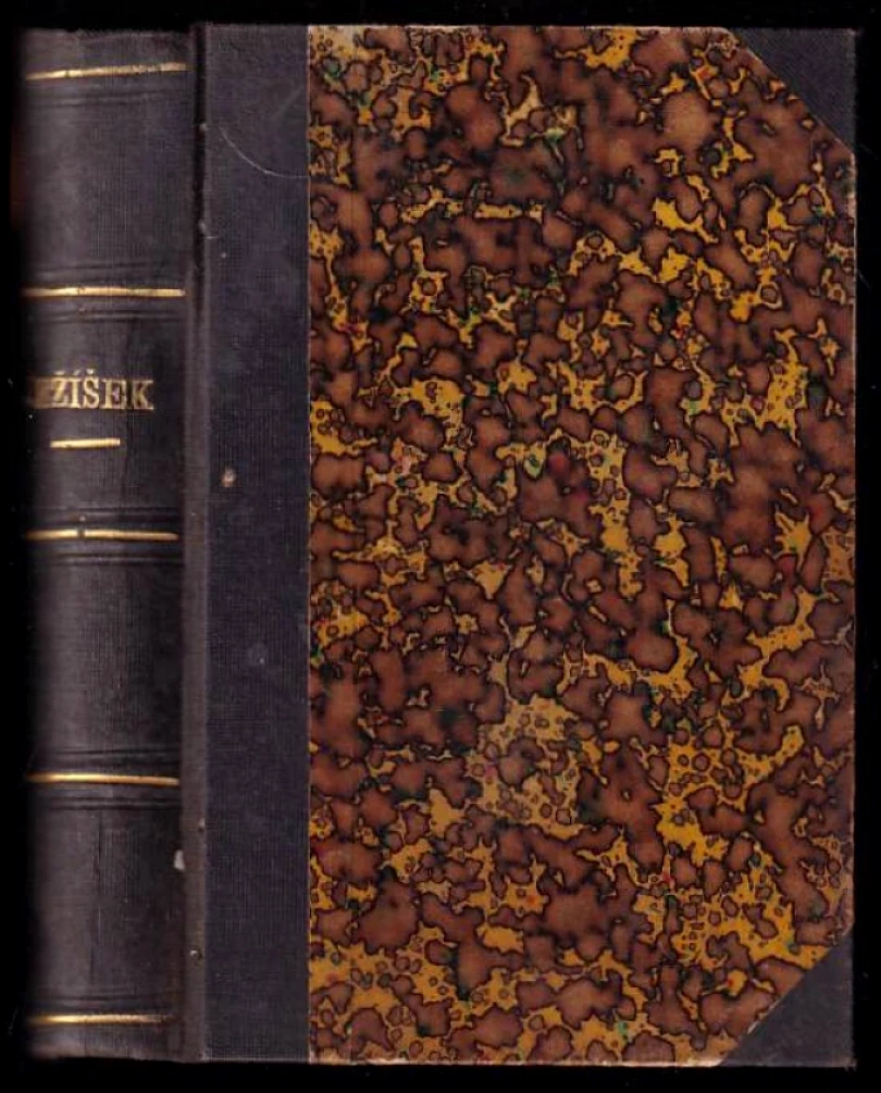 Ježíšek (Pedro Antonio de Alarcón, 1893)