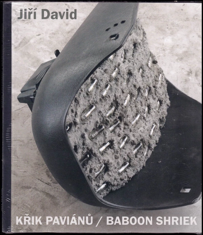 Jiří David (Jiří David, 2013)