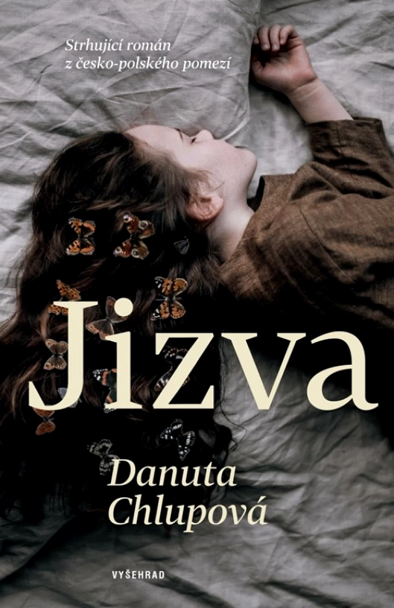 Levně Jizva (Danuta Chlupová, 2022)